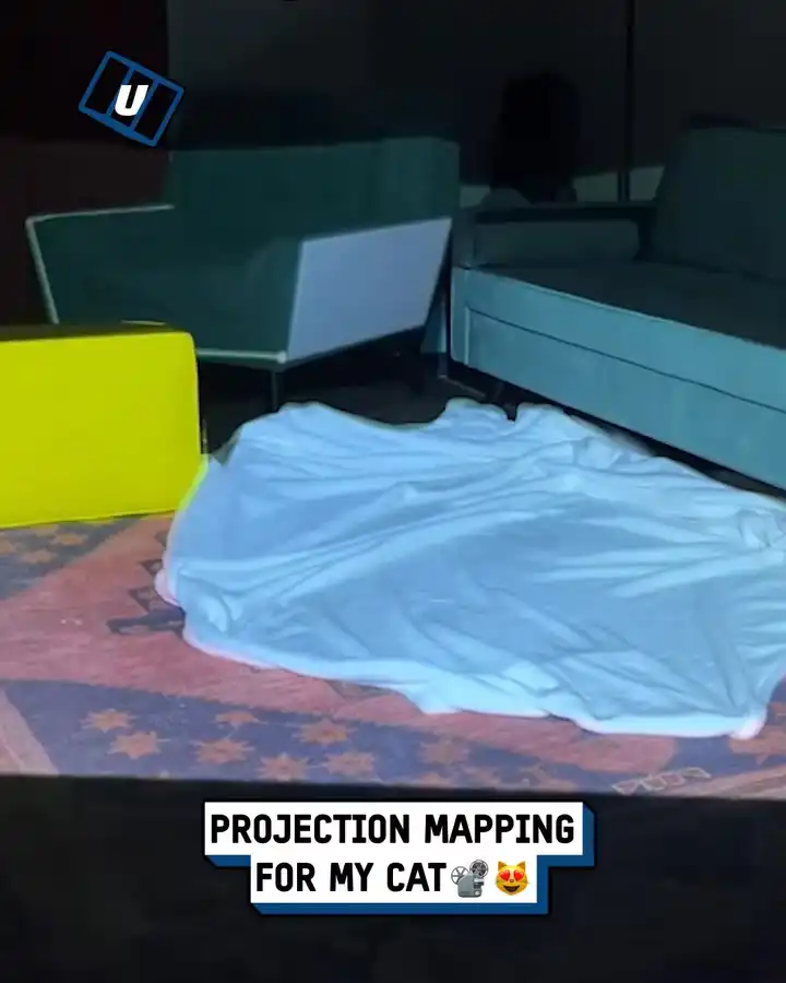 Projection mapping for my cat π±π€―