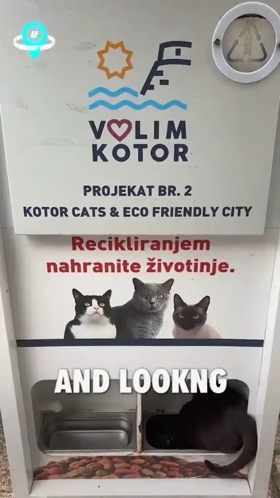 Recyling in Montenegro helps feed local stray cats