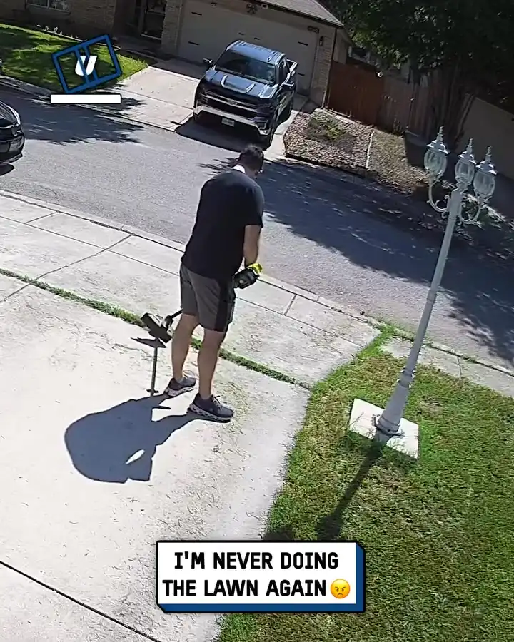 Bug attack during yard work 🐝😱