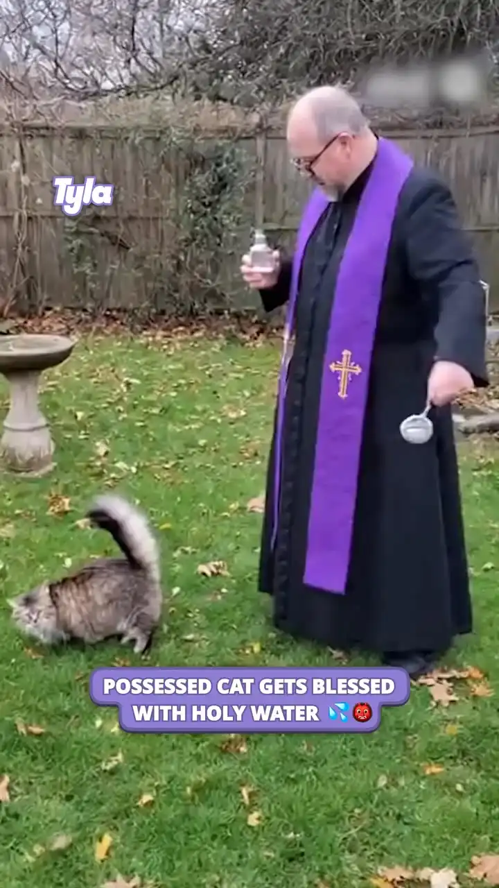 Priest throws holy water on hissing cat 👹