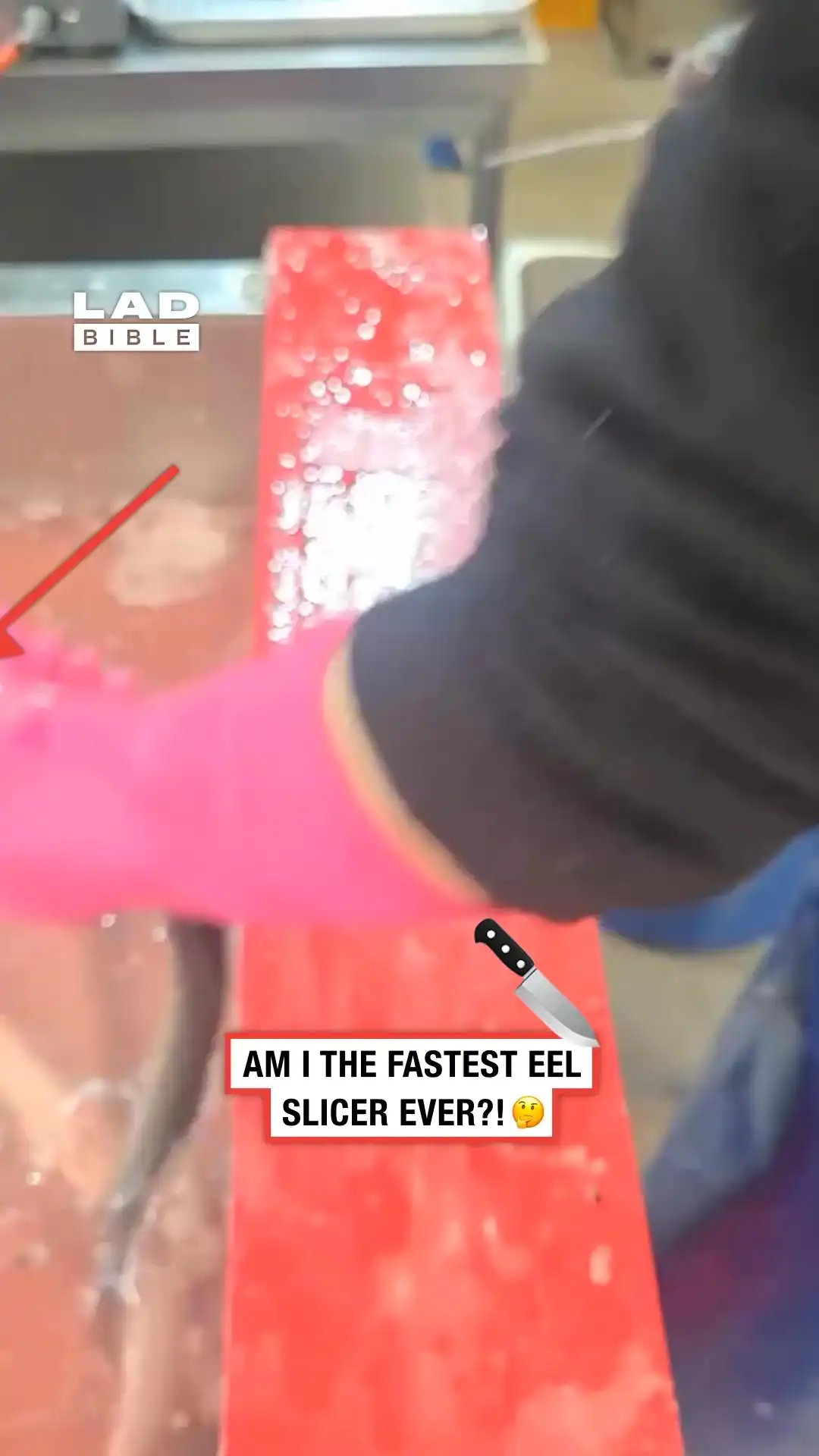 Slicing an eel 😲🐟