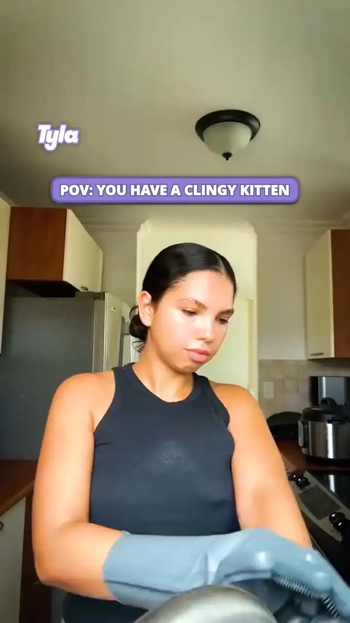 POV Your kitten is clingy