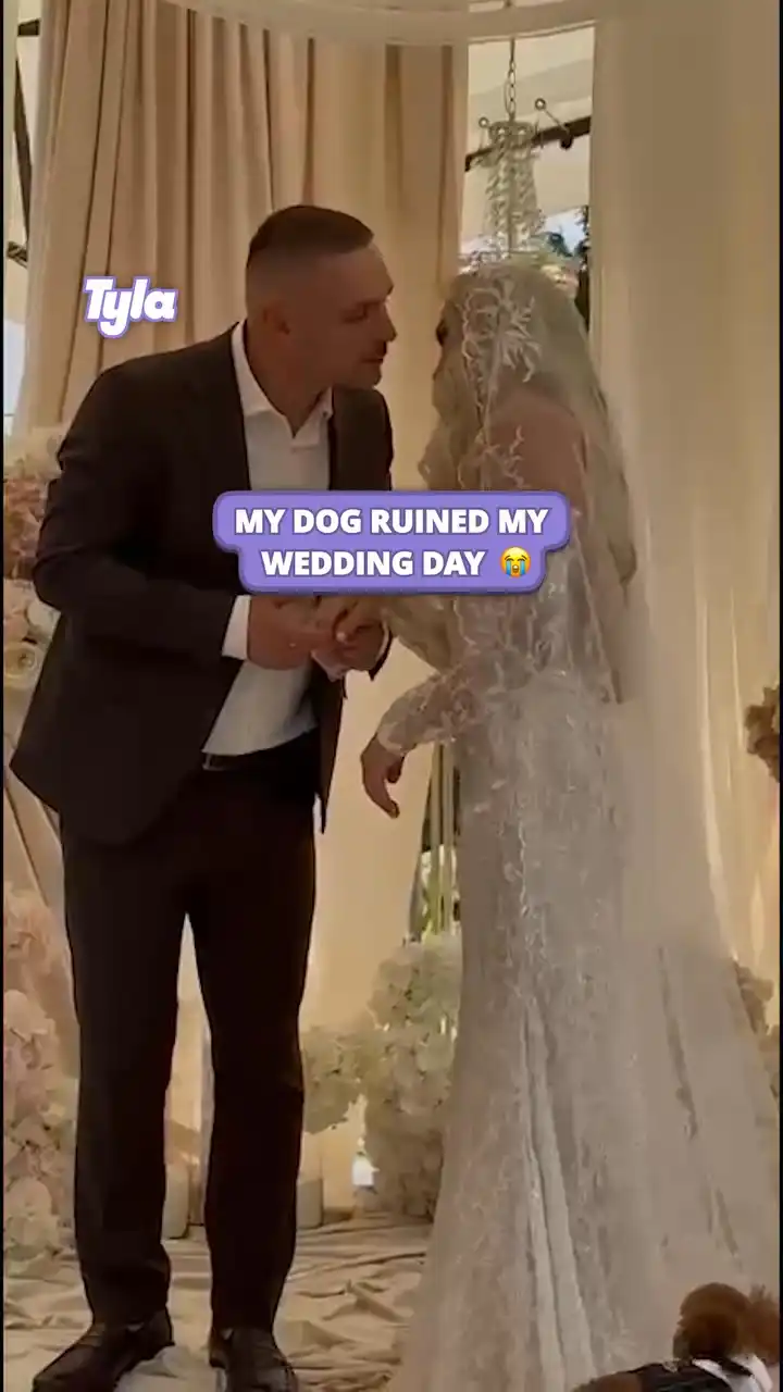 My dog ruined my wedding day 🫣