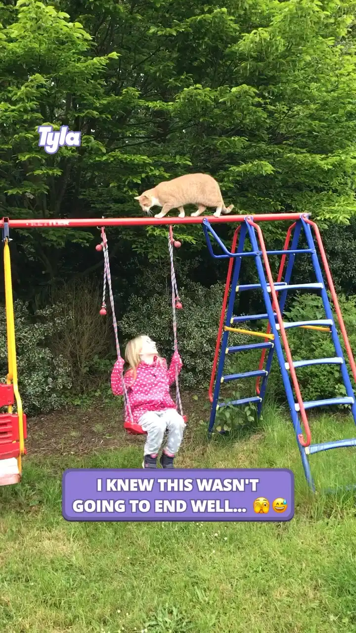 Daughter backflips when cat falls on her 😅