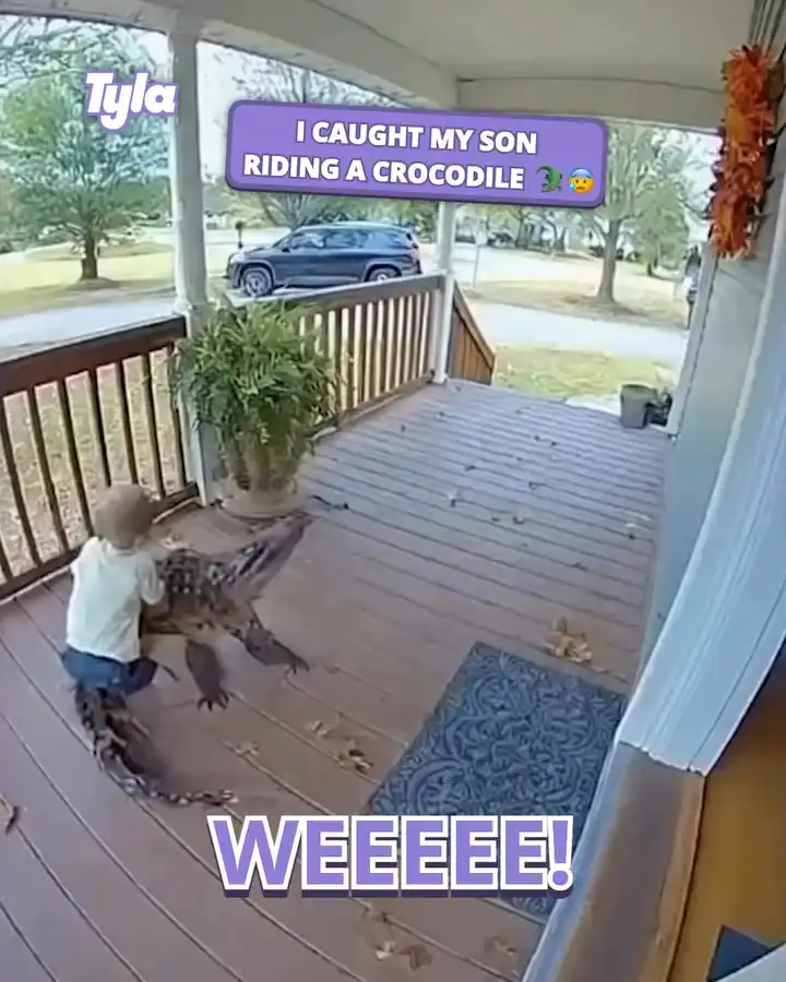 Kid rides off on crocodile 🐊😳