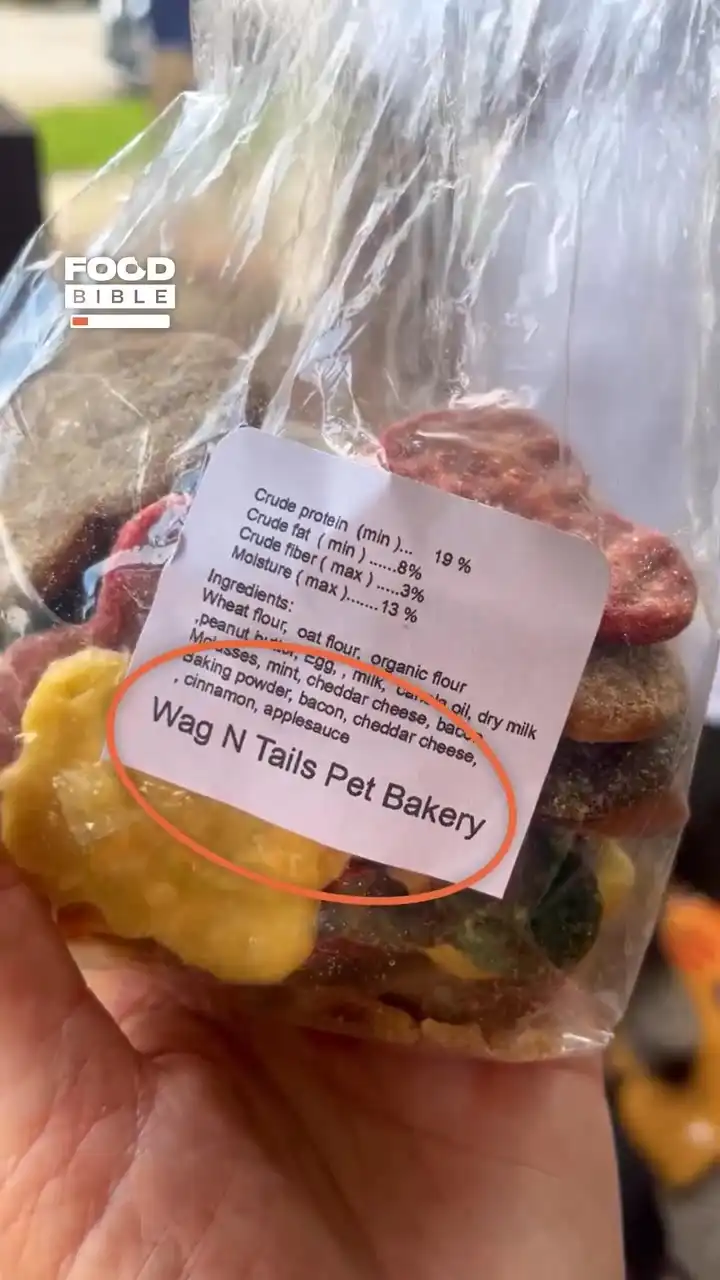 Feeding My Husband Dog Treats 😂