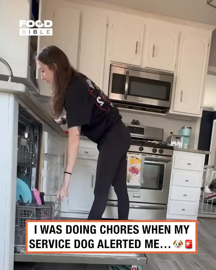 Service dog jumps into action 🐶