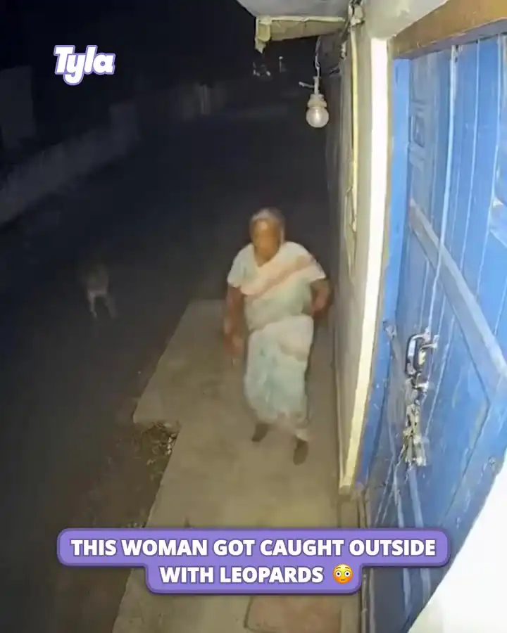 This woman got caught outside with leopards 😳