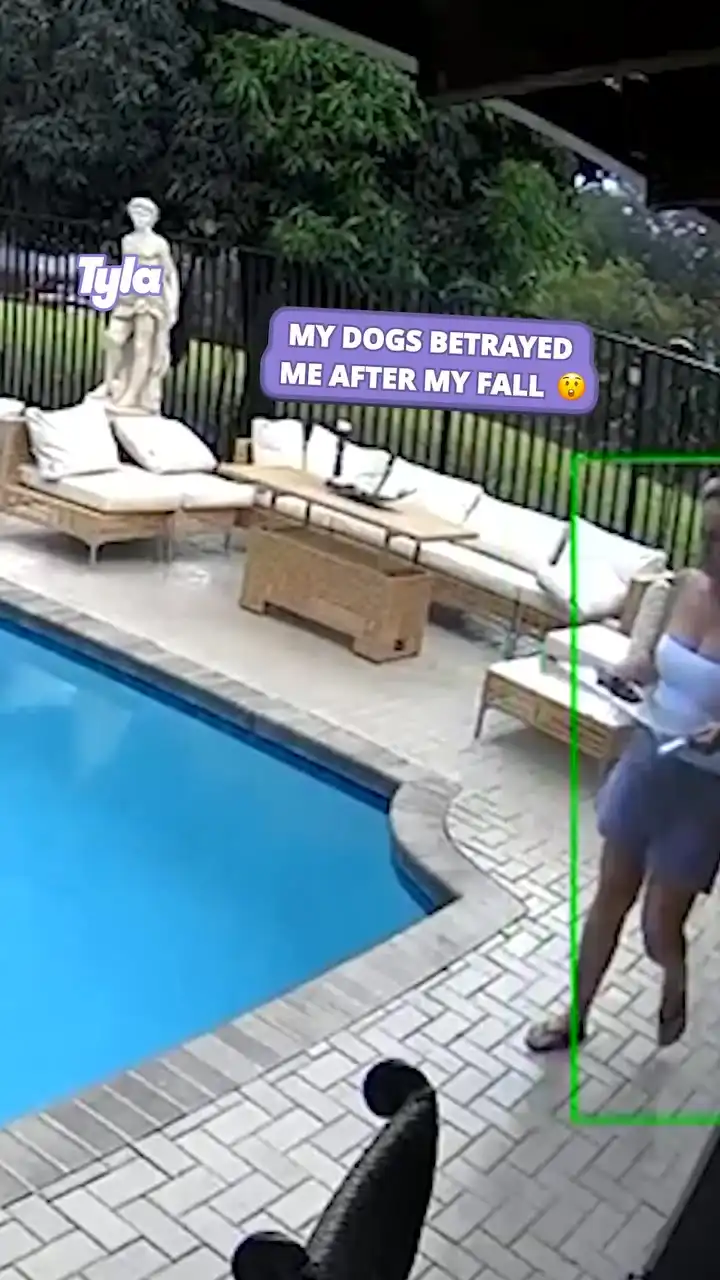 My dogs didn't care I fell in the pool 😅💦