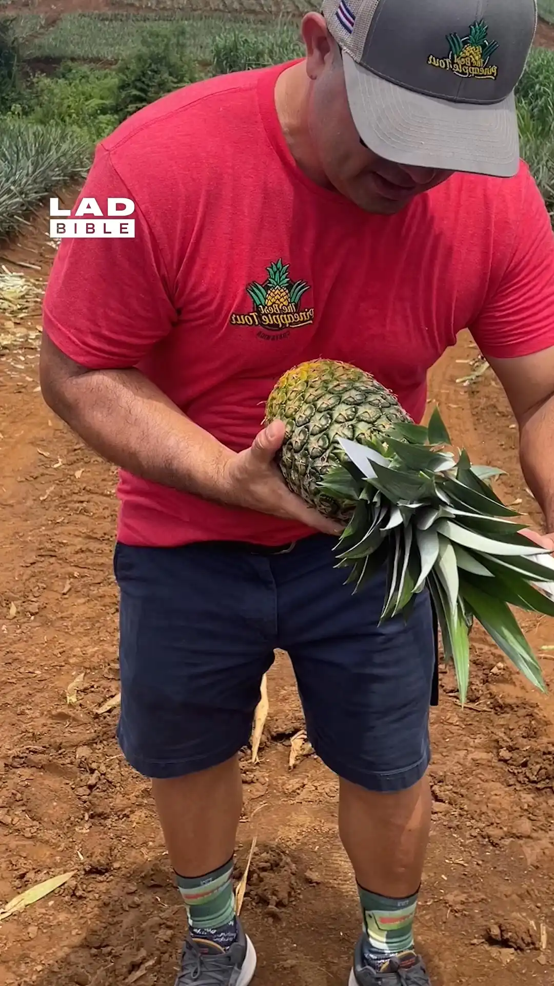 Cutting a pineapple 😮‍💨🍍