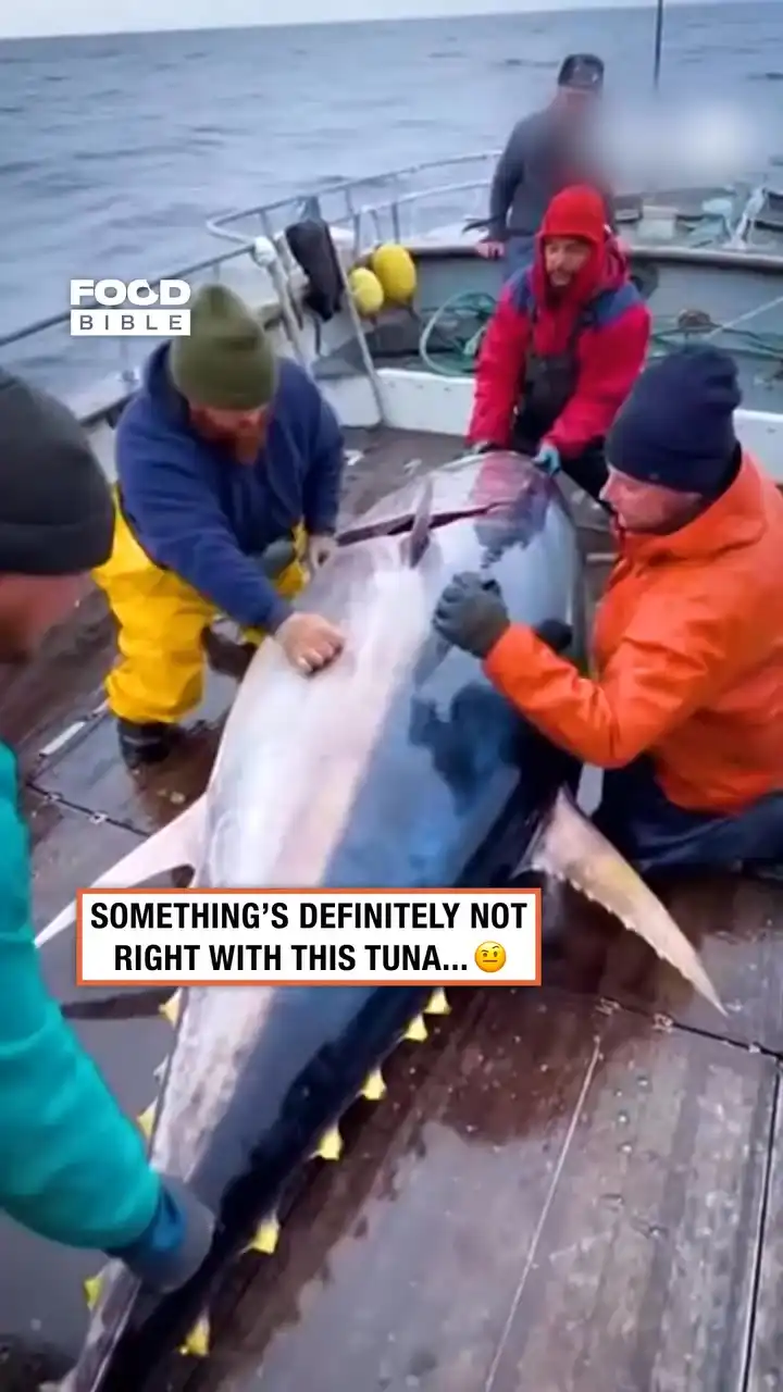 Tunaβs Skin Peels Off π±π