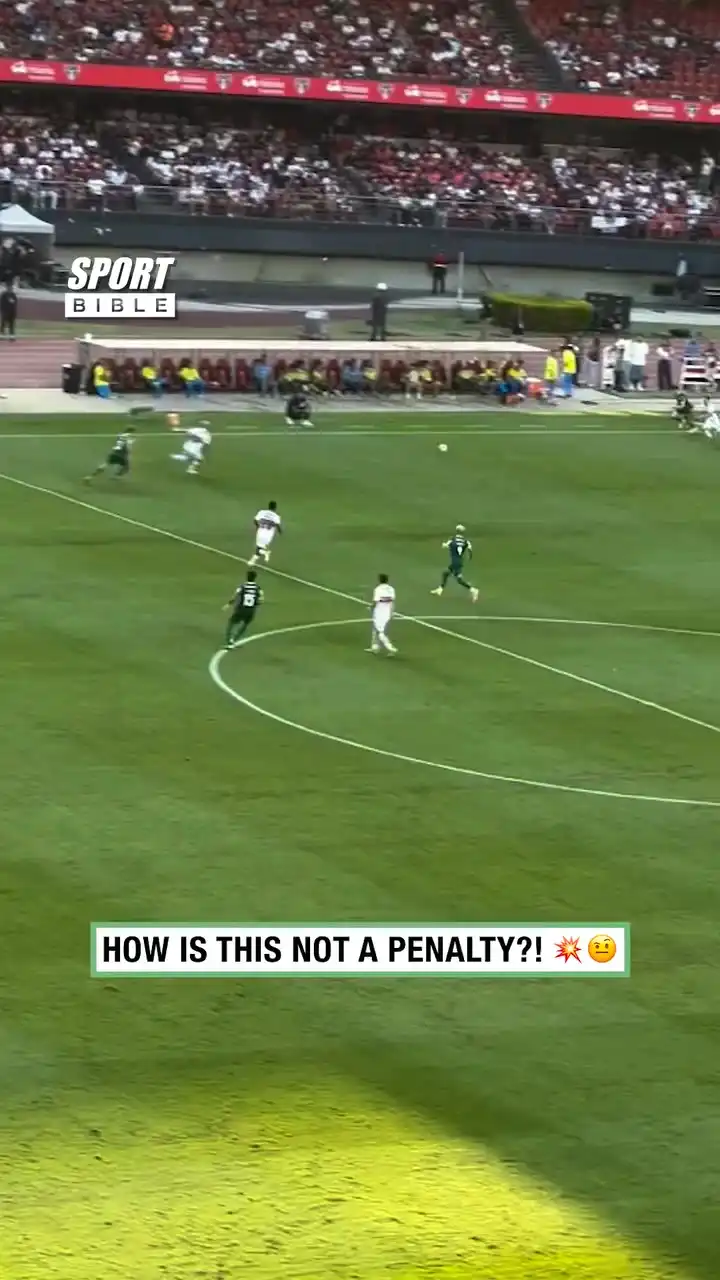 Referee Doesn't Give Blatant Penalty