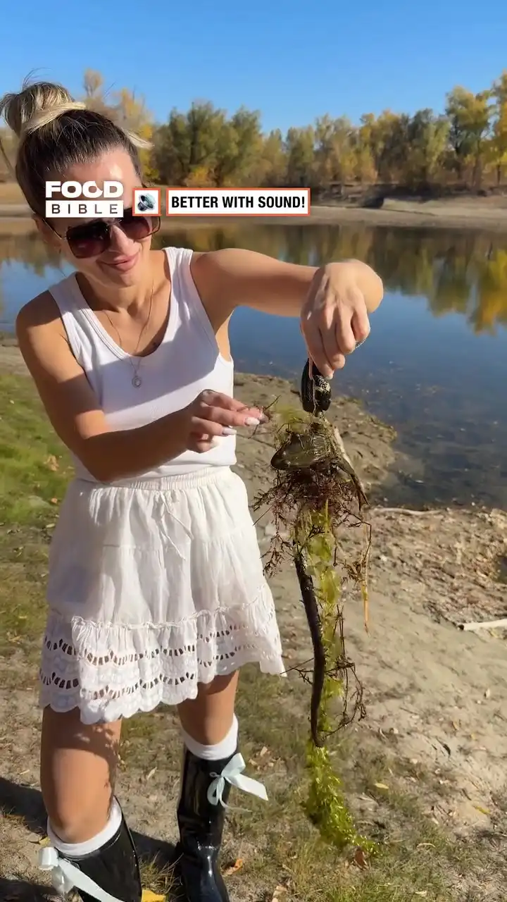 Frog rescued from snake's jaws 🐍