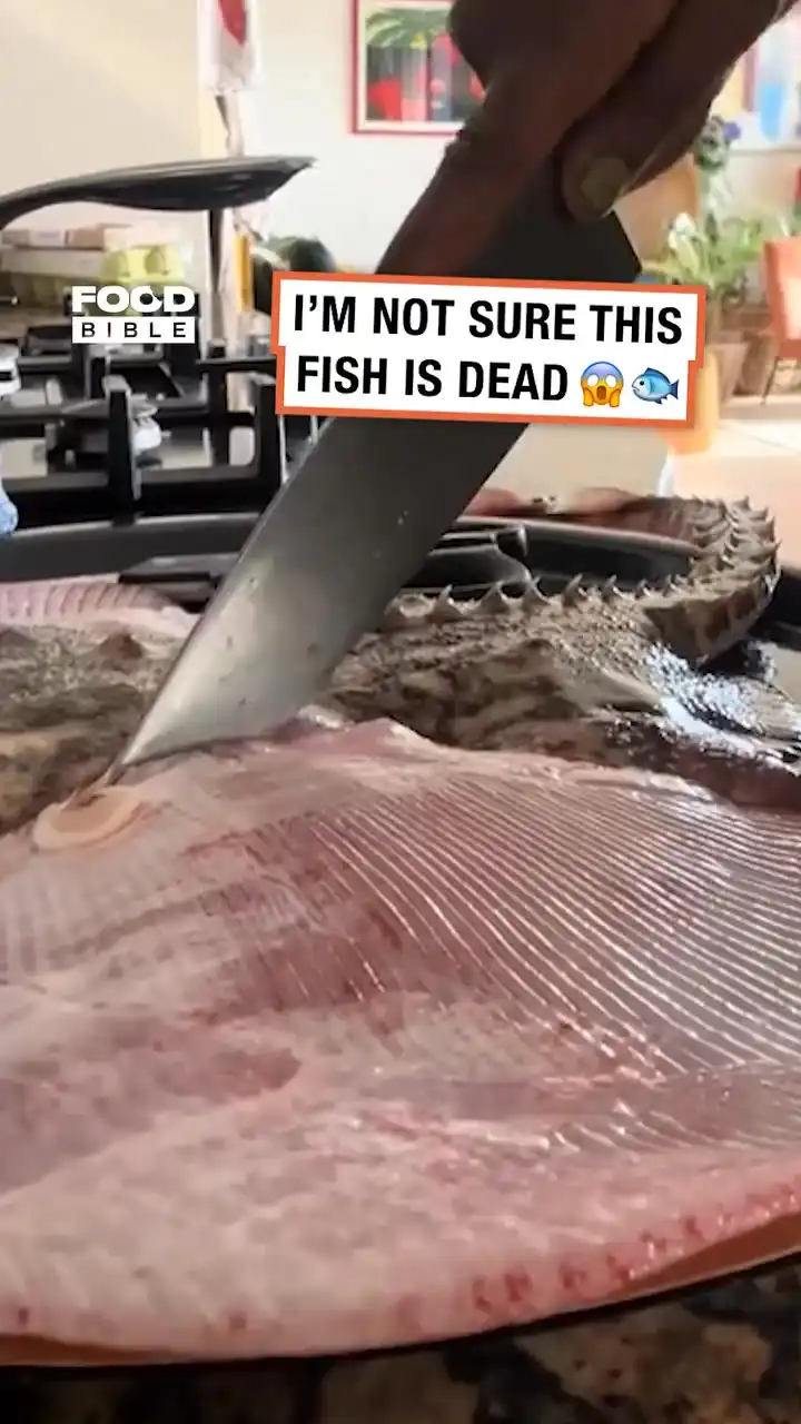 When the fish is too fresh 🐟