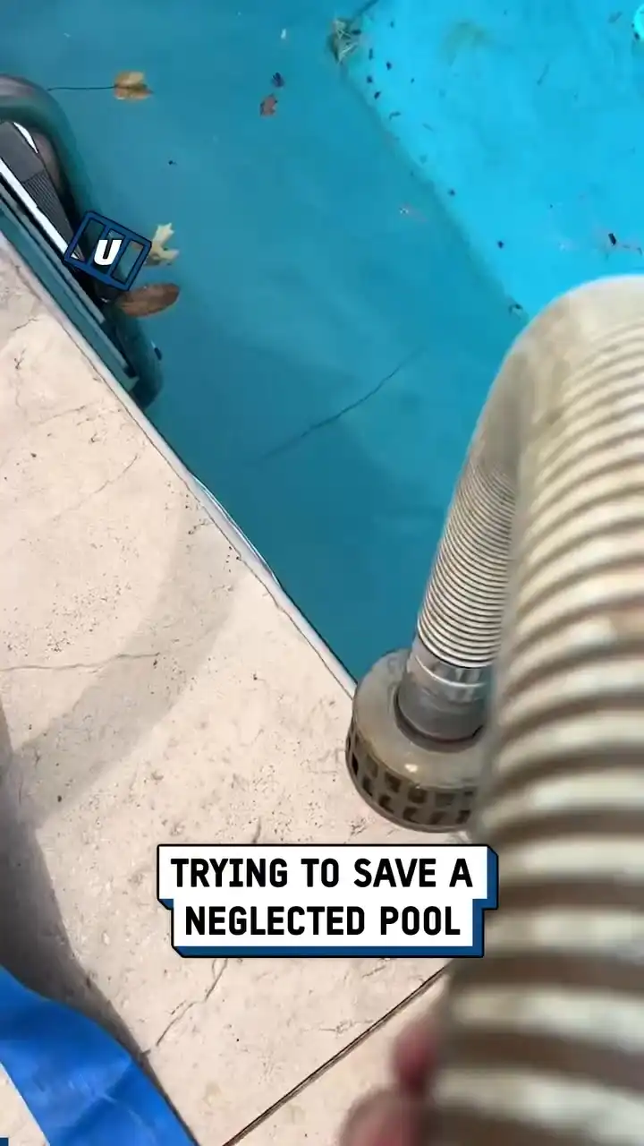 Deep cleaning a neglected swimming pool π₯΄π§Ό