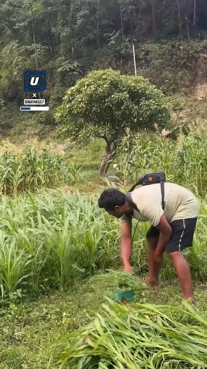 Easy handheld grass cutter 🤯🌱