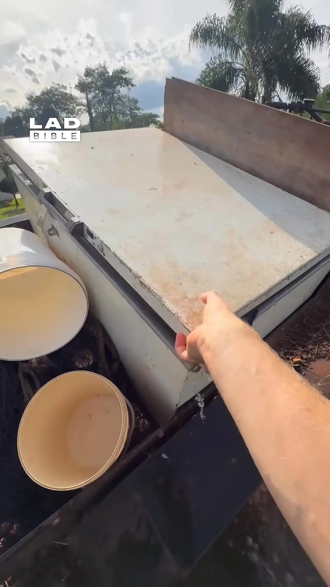 I had to do something will all these fish 😳🐟