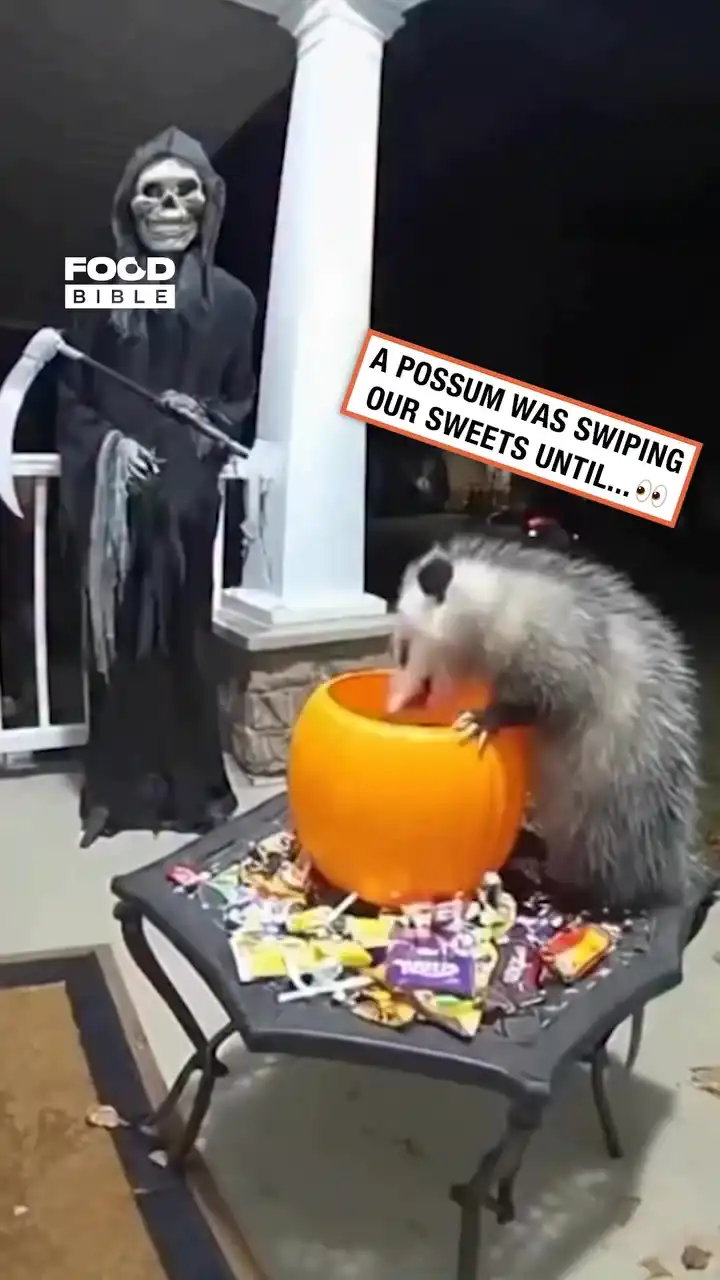 Halloween decorations deter unwelcome guests 😱