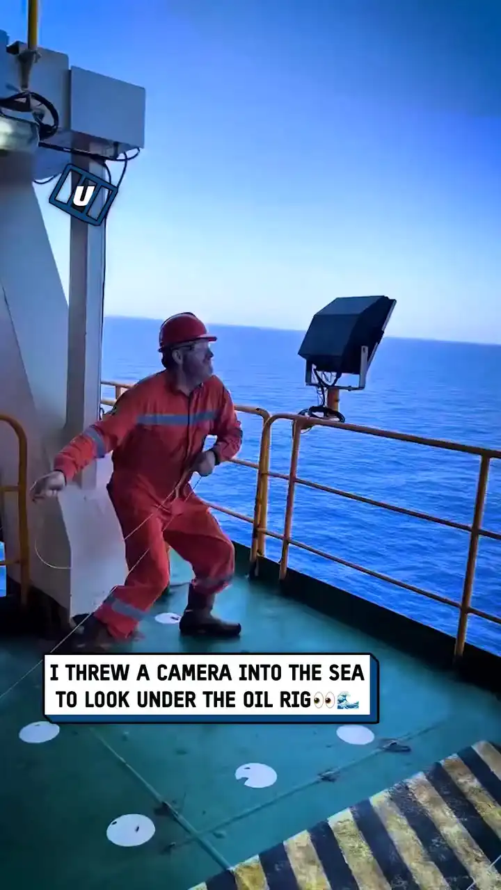 What lies below the oil rig 🤯🌊