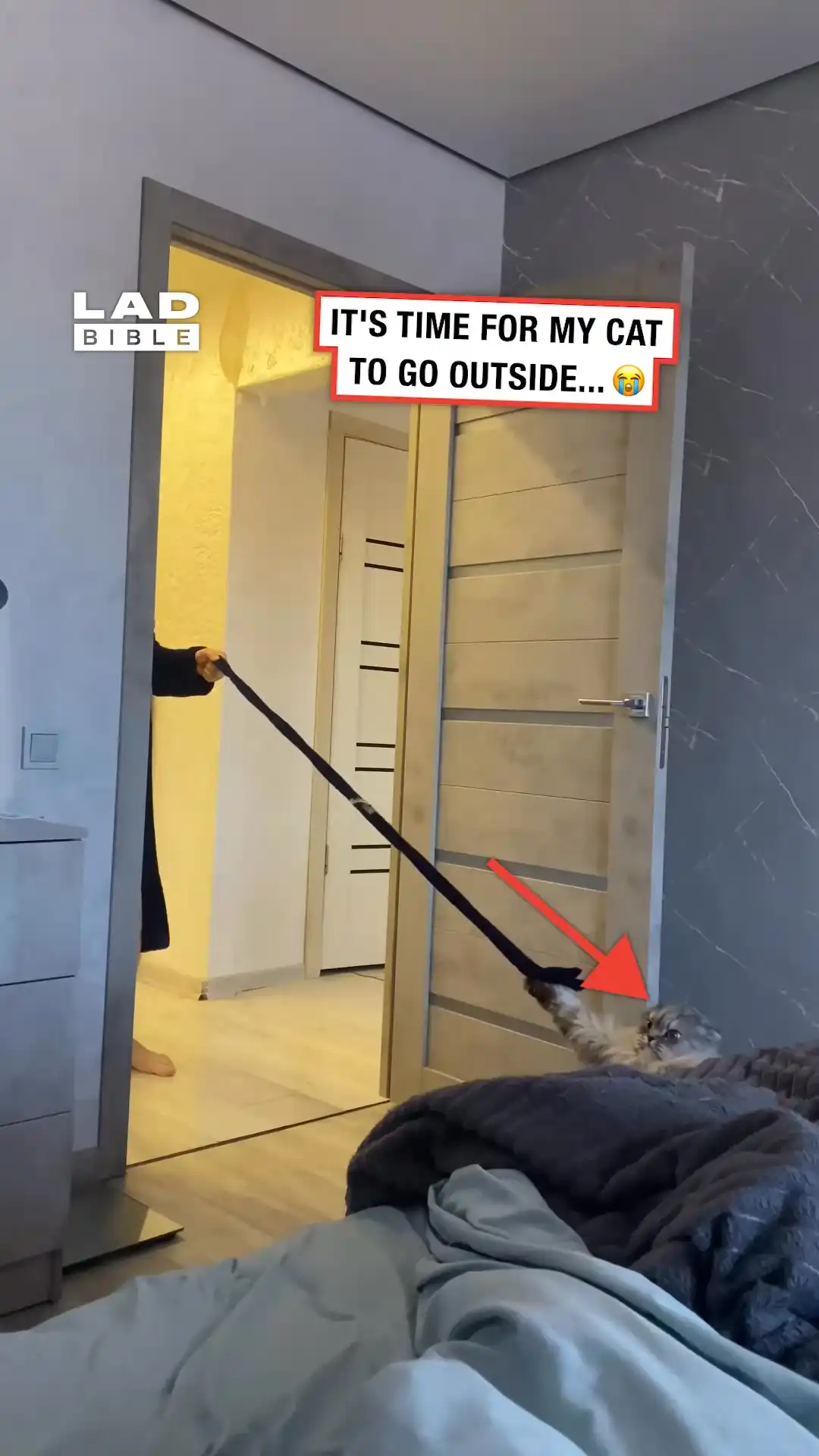 My cat is refusing to leave the room 😂