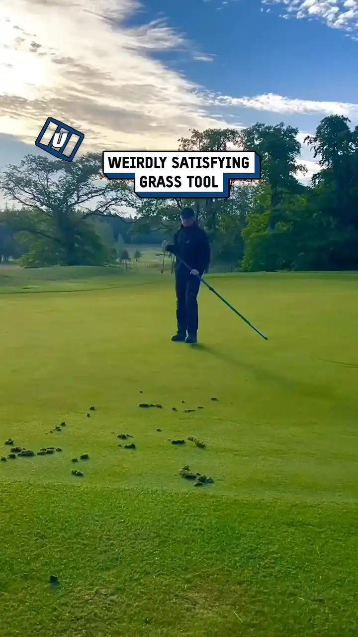 Satisfying golf course clearing tool ⛳️😲