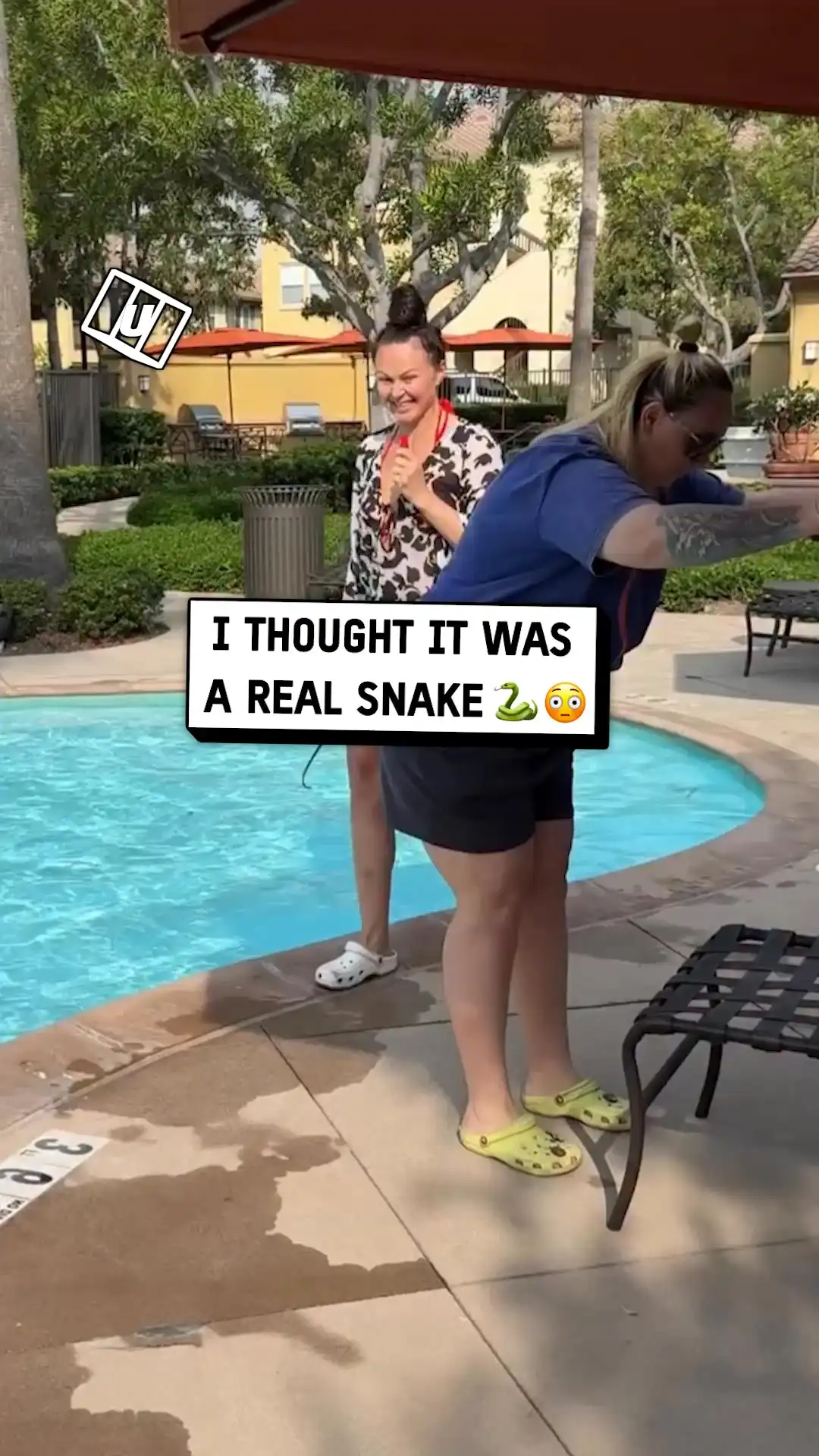 I ended up going splashing into the pool because of this 😱🐍💦 #friends #funny #snake