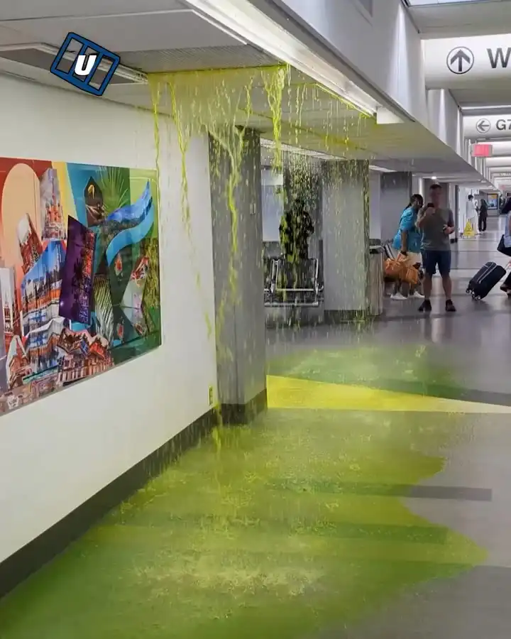 Refrigerant leak at Miami Airport 🥶💦