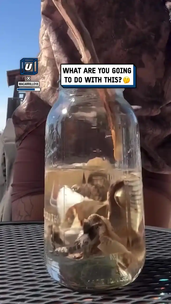 Preserving snake skins