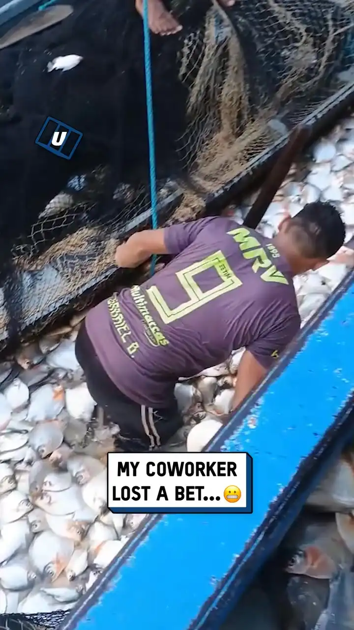 Coworker is sleeping with the fishes