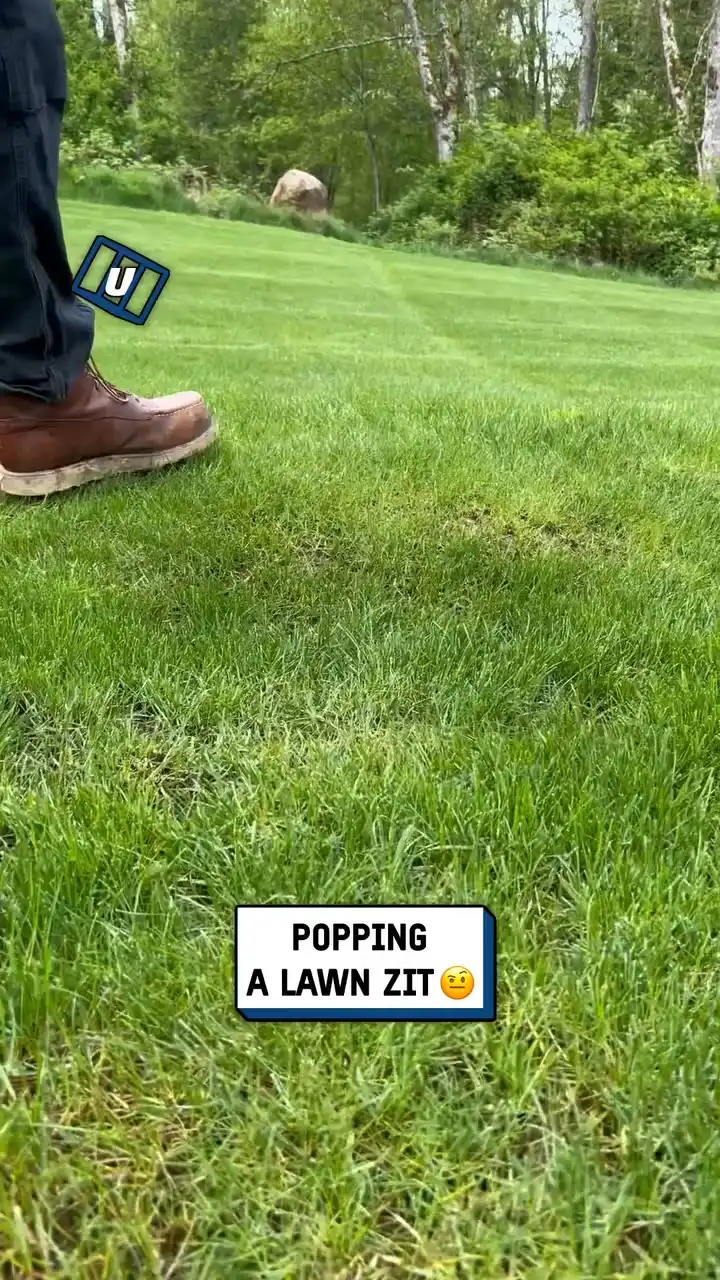 Popping a lawn zit
