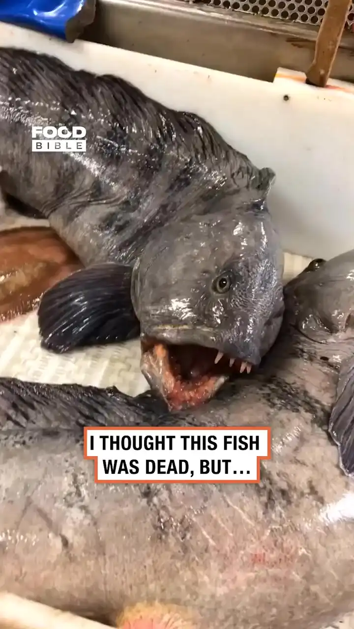 Fish bites coke 🐟