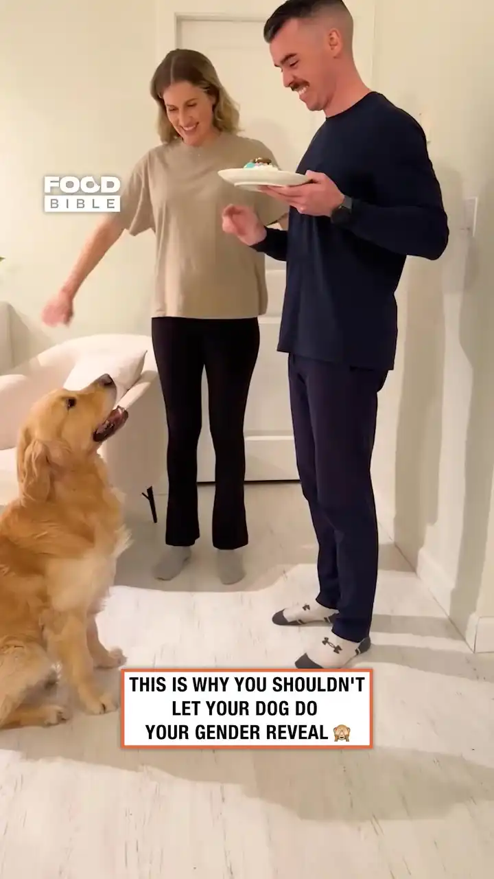 Golden Retriever Devours Gender Reveal Cake 🐶