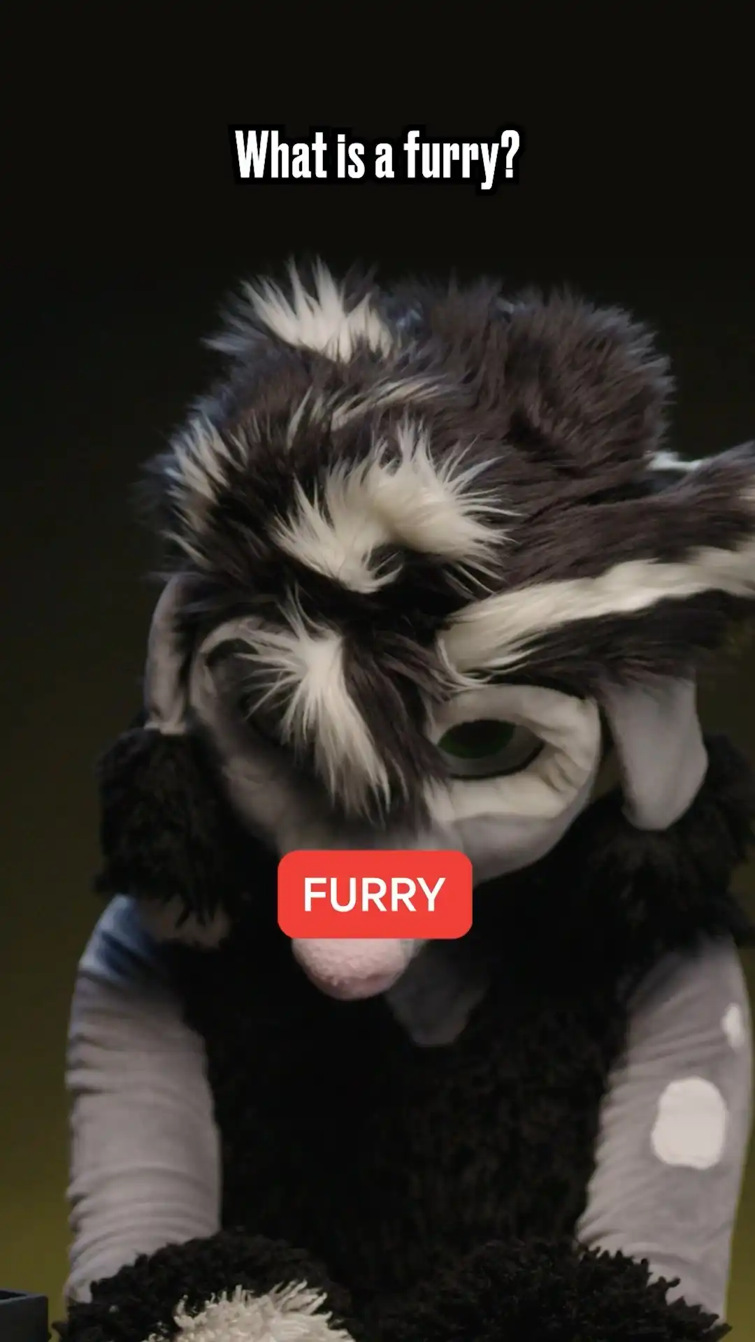 The Truth About Furries: Furry Answers Public's Questions