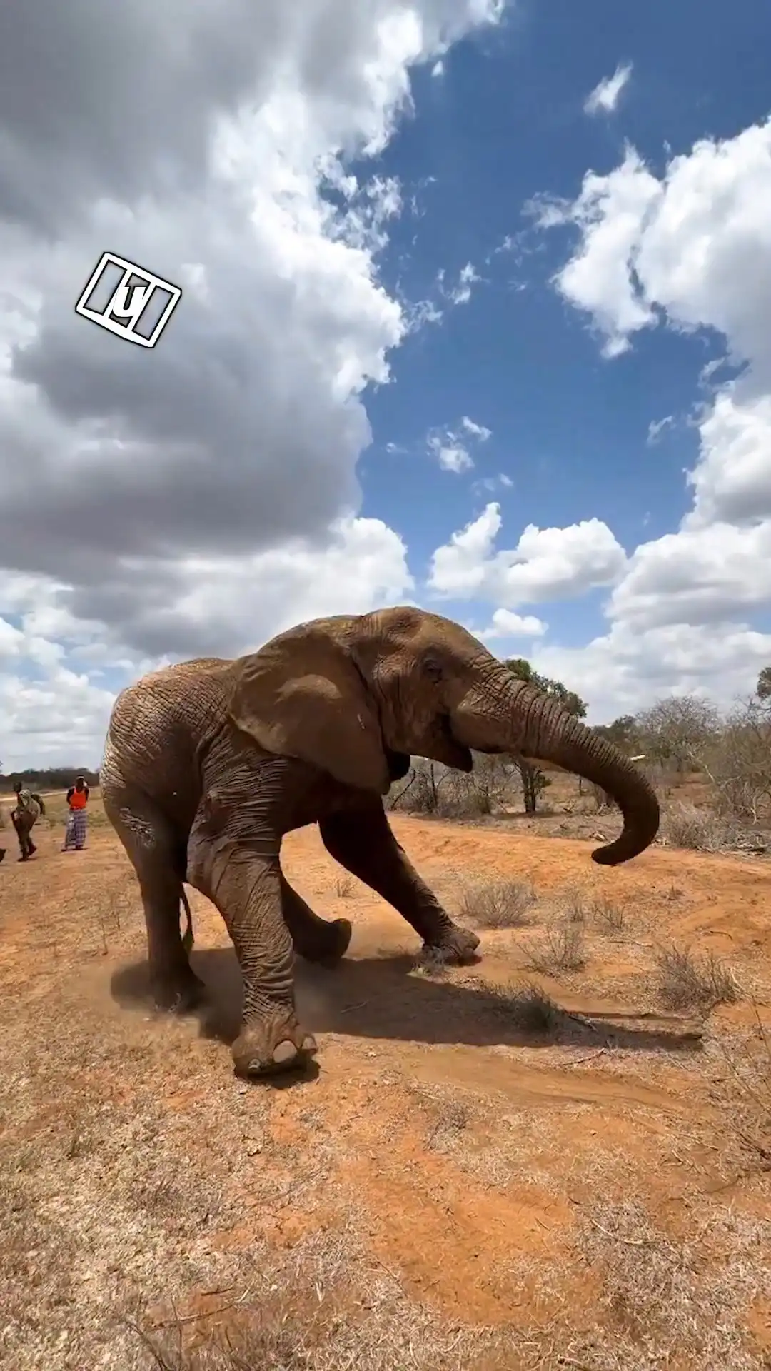 This elephant needed our help 😱🐘