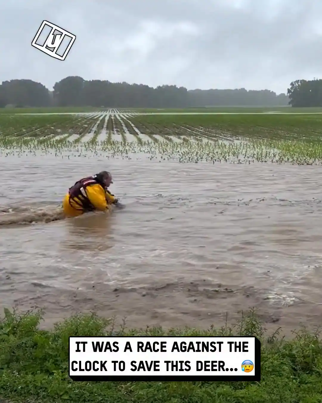 This Firefighter Rescues Deer From Drowning π¨βππ¦