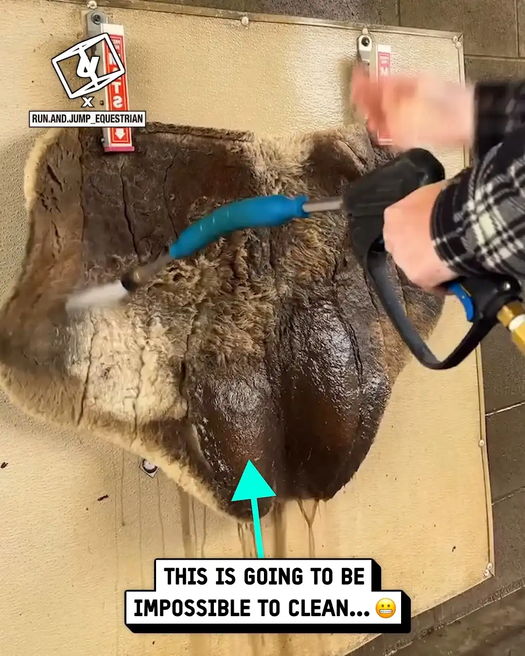 Pressure washing my horses saddle 🐎💦