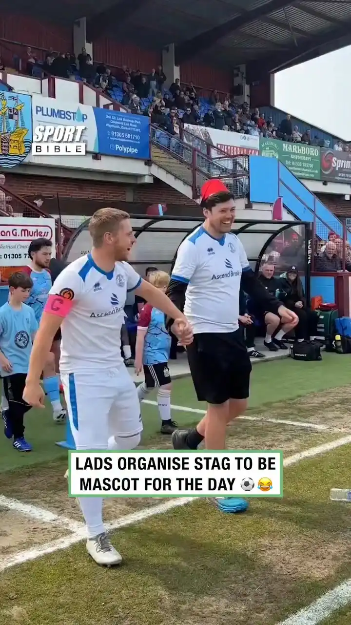 Stag Mascot
