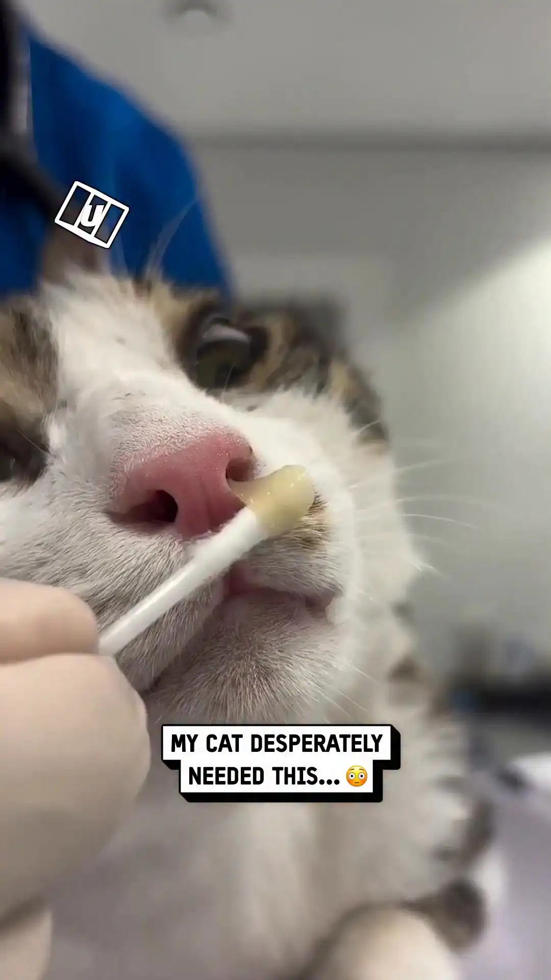 My cat was really struggling 😰🙀