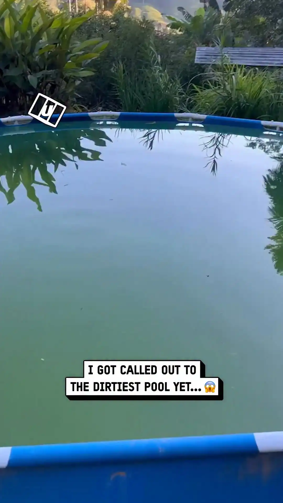 Satisfying pool clean 😮‍💨💦