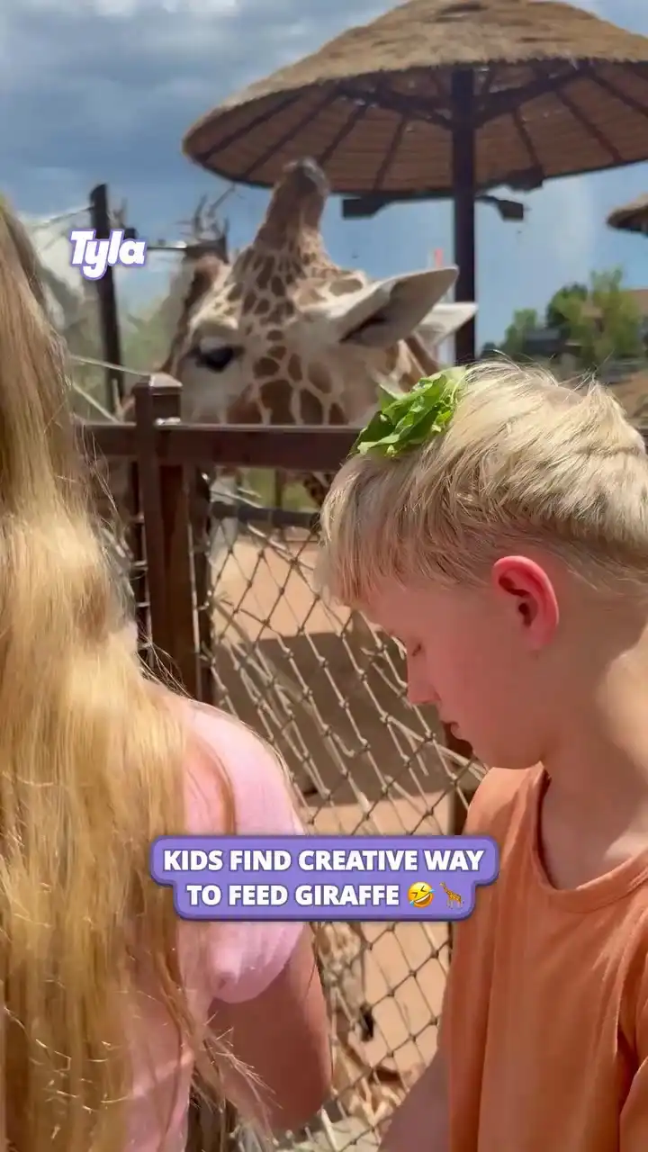 Kids find creative way to feed giraffe π¦π