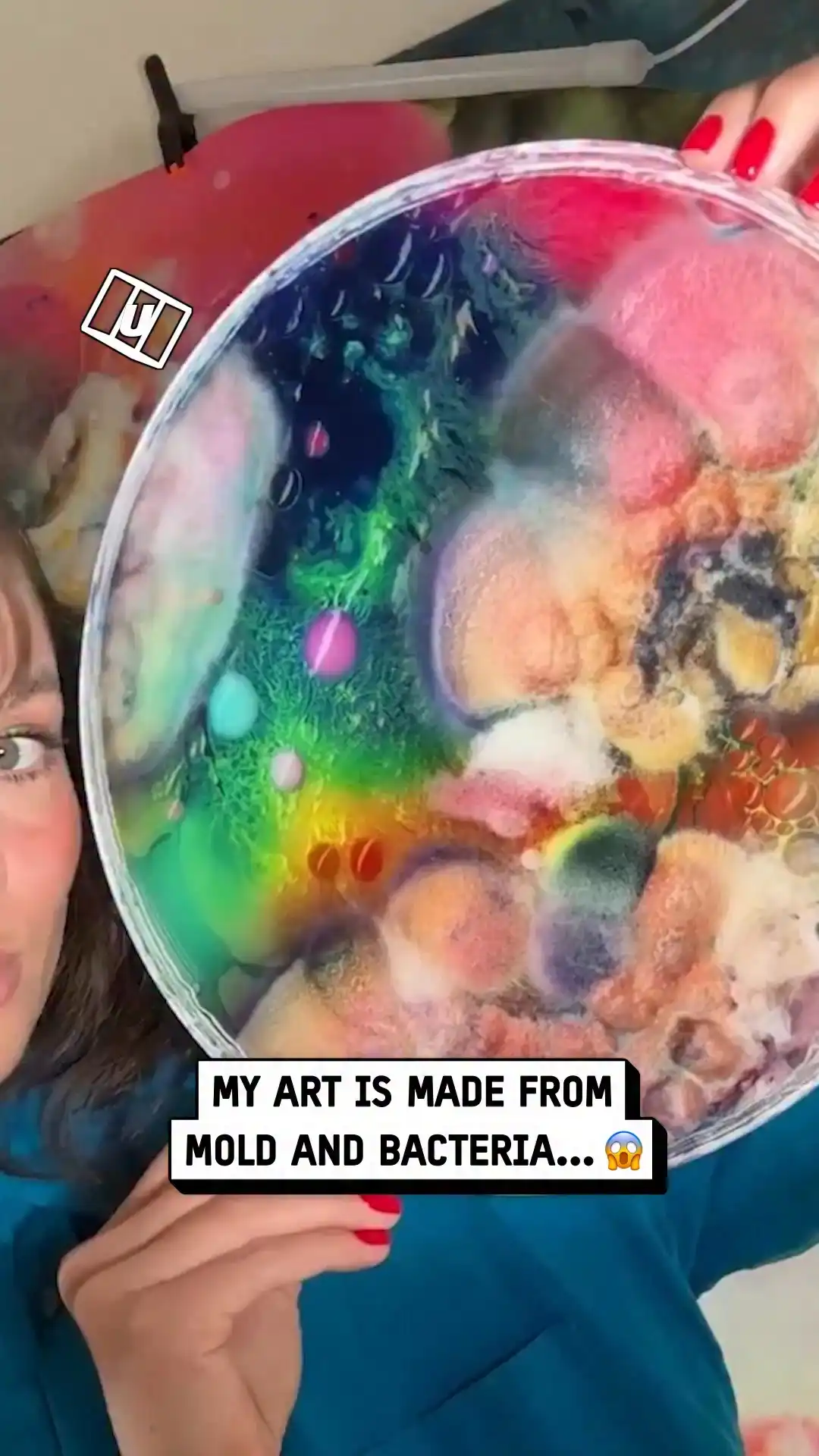 I create art from mold 🎨🦠
