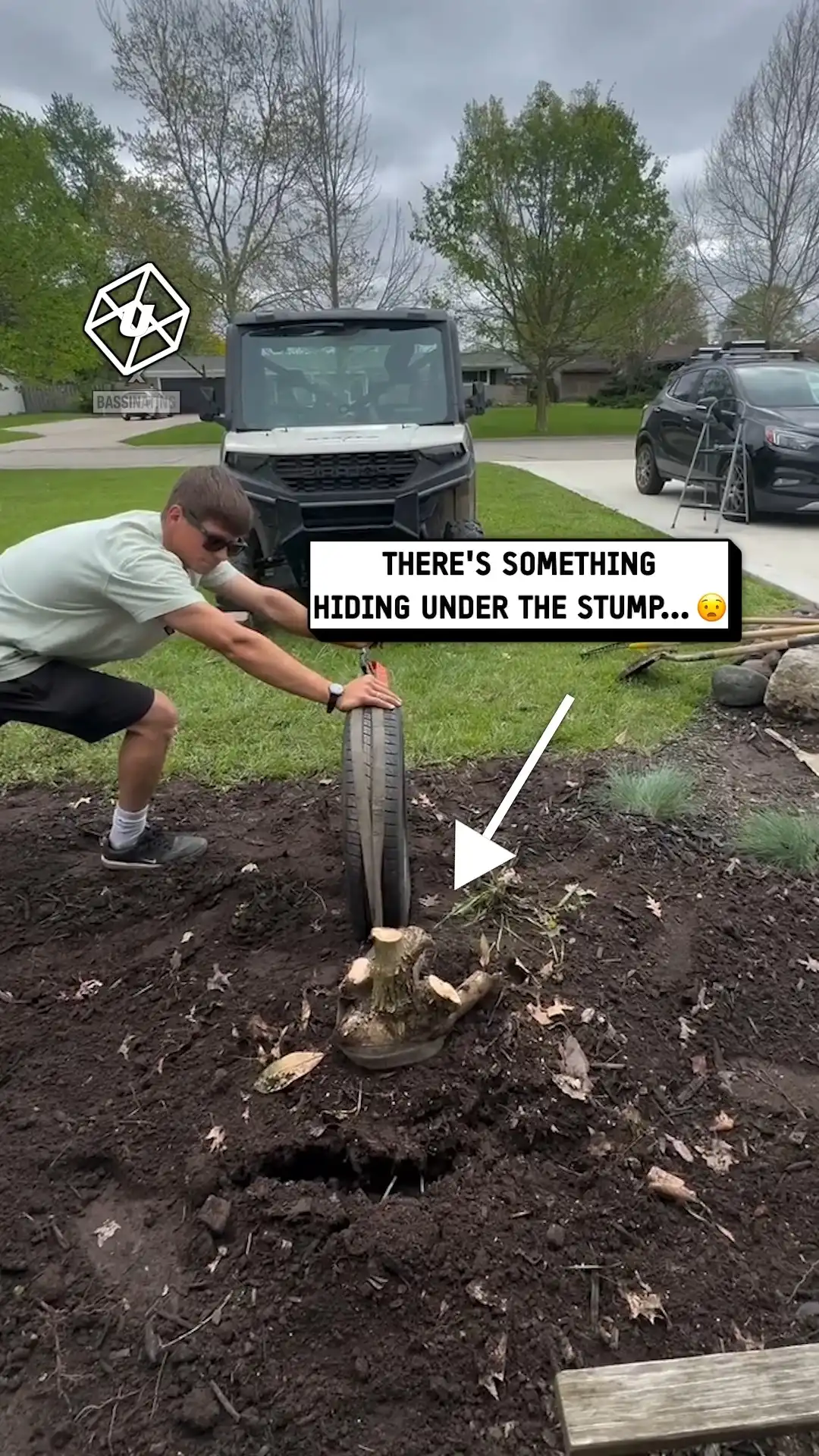 We had to remove this tree trunk 🌳