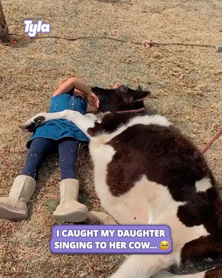Little girl sings to her cow 🥹🐮