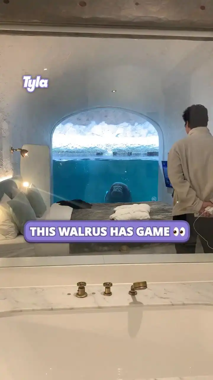When a walrus is flirting with your man ๐๐