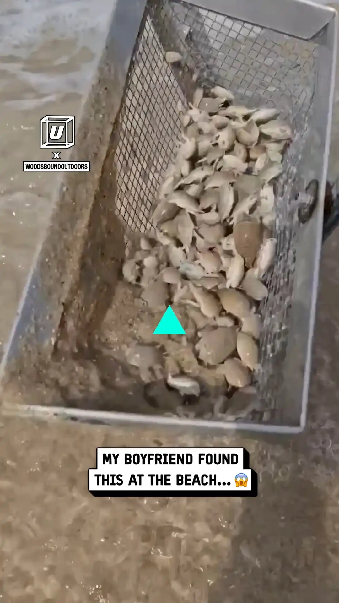 I caught sand fleas at the beach 😱🏖️