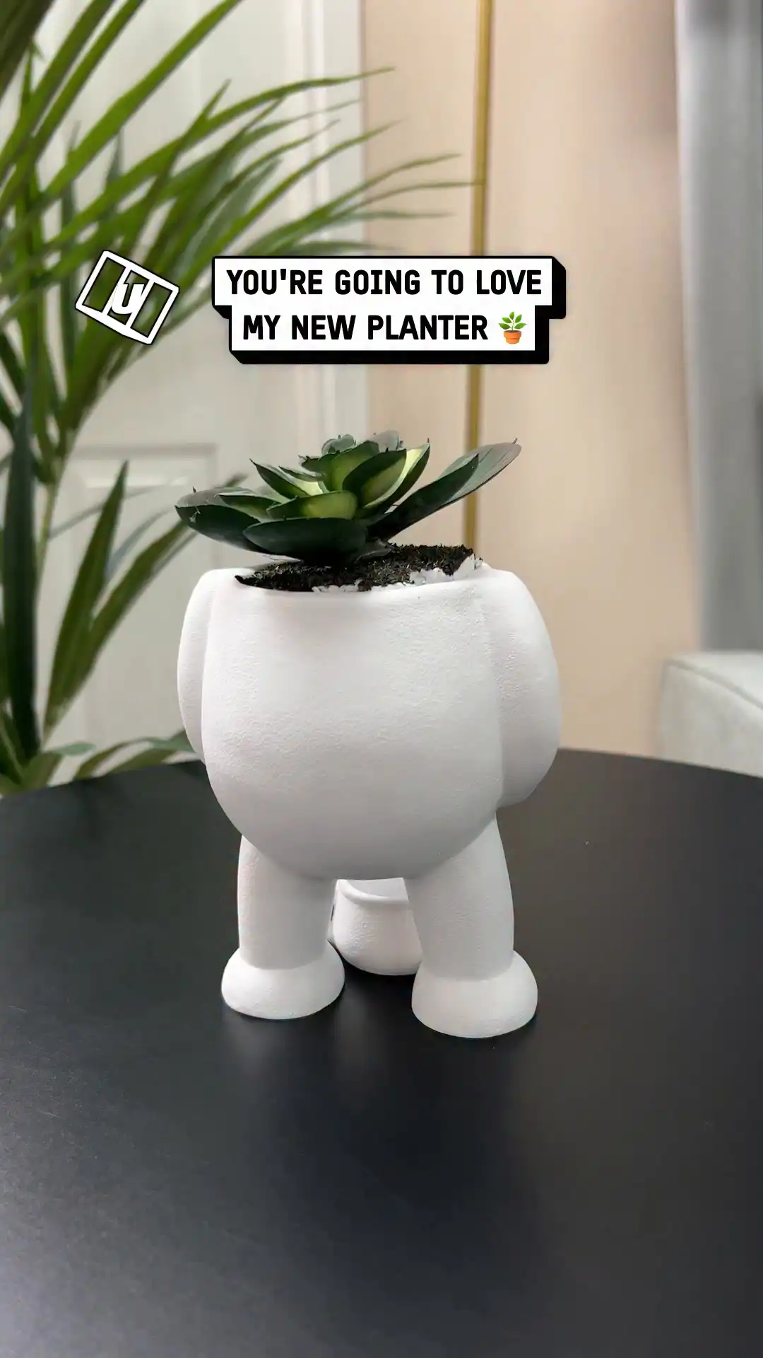 I love my new planter 🪴