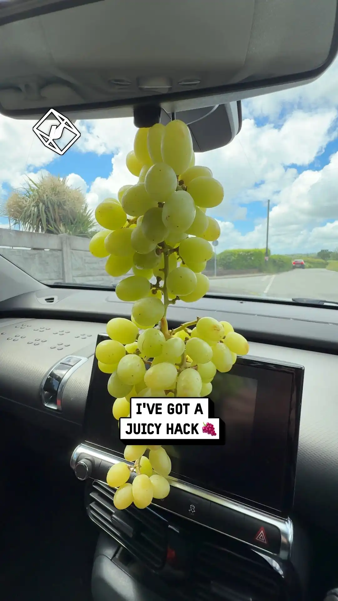 I love hanging grapes in my car 🍇🚘