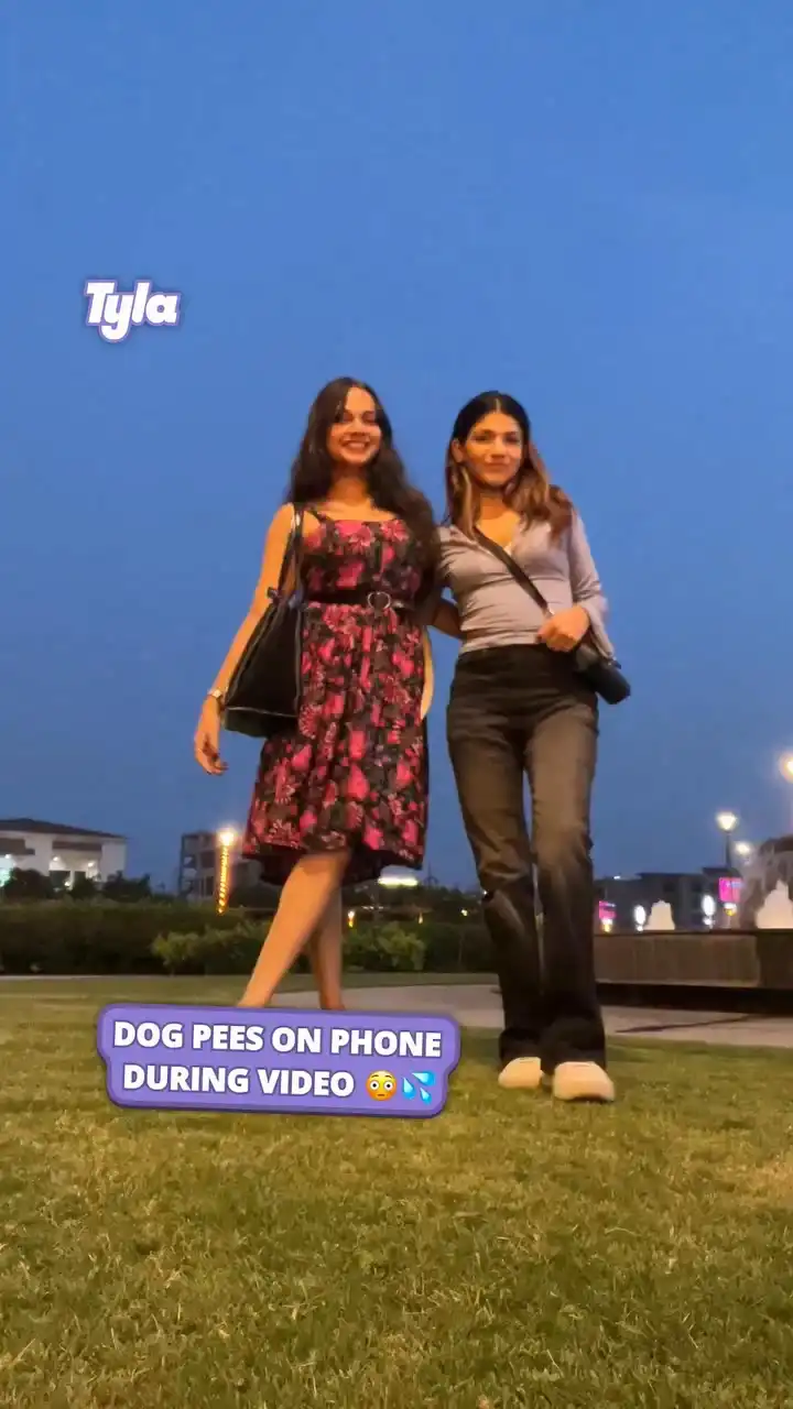 Dog pees on phone during video 💦😱