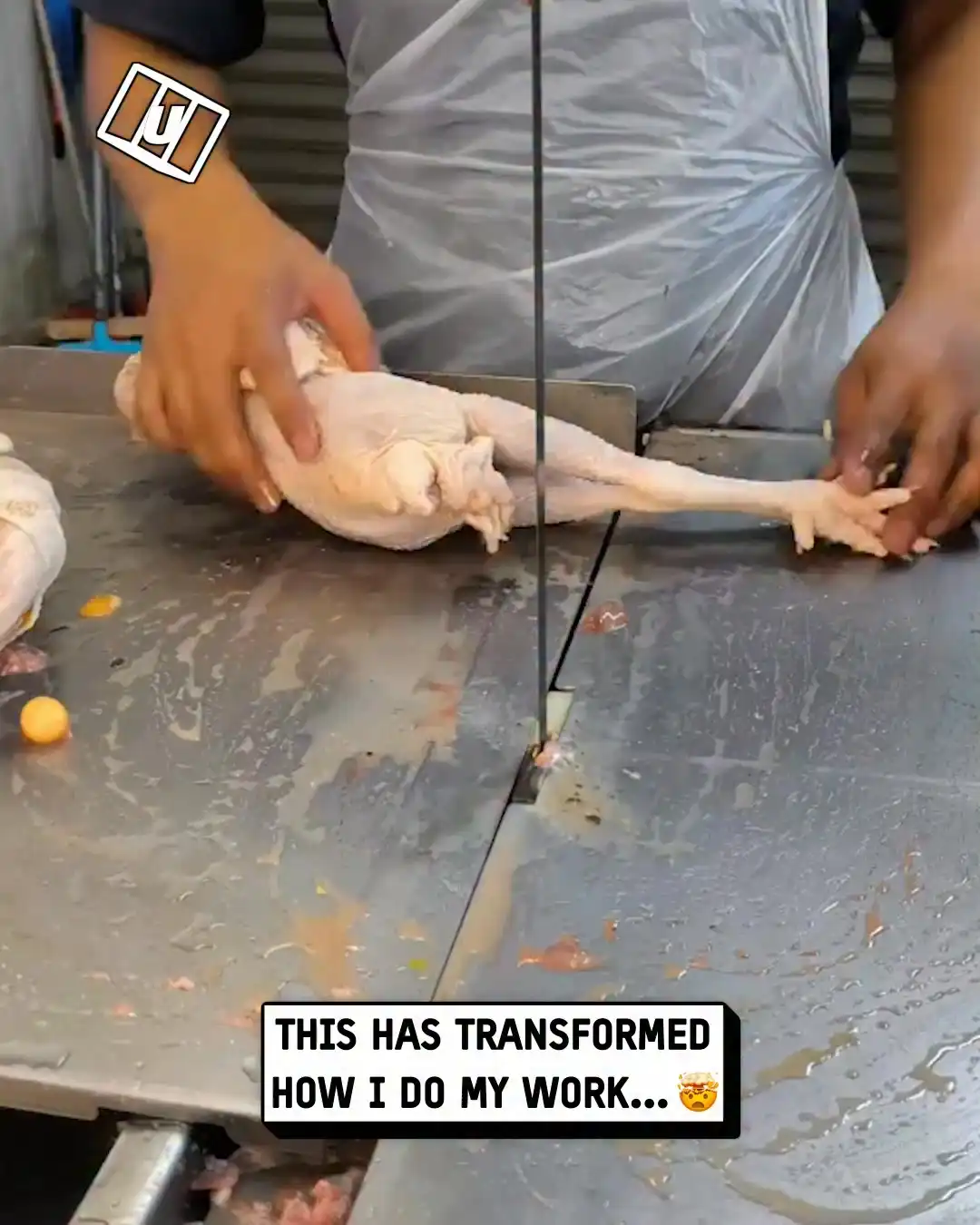 Satisfying dicing of frozen meat ๐ฅฉ