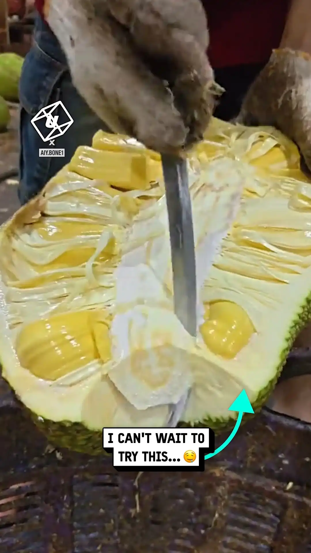 Preparing a jack fruit 😋🍈